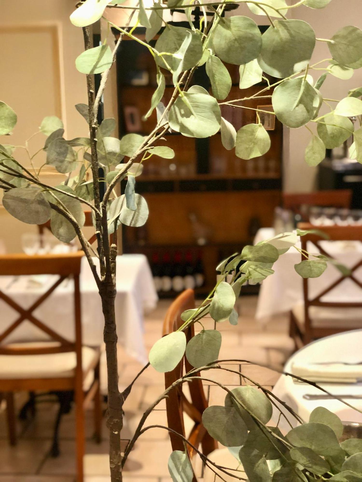 Logis Hotel Et Restaurant La Bastide Cabezac Bize-Minervois Exterior photo